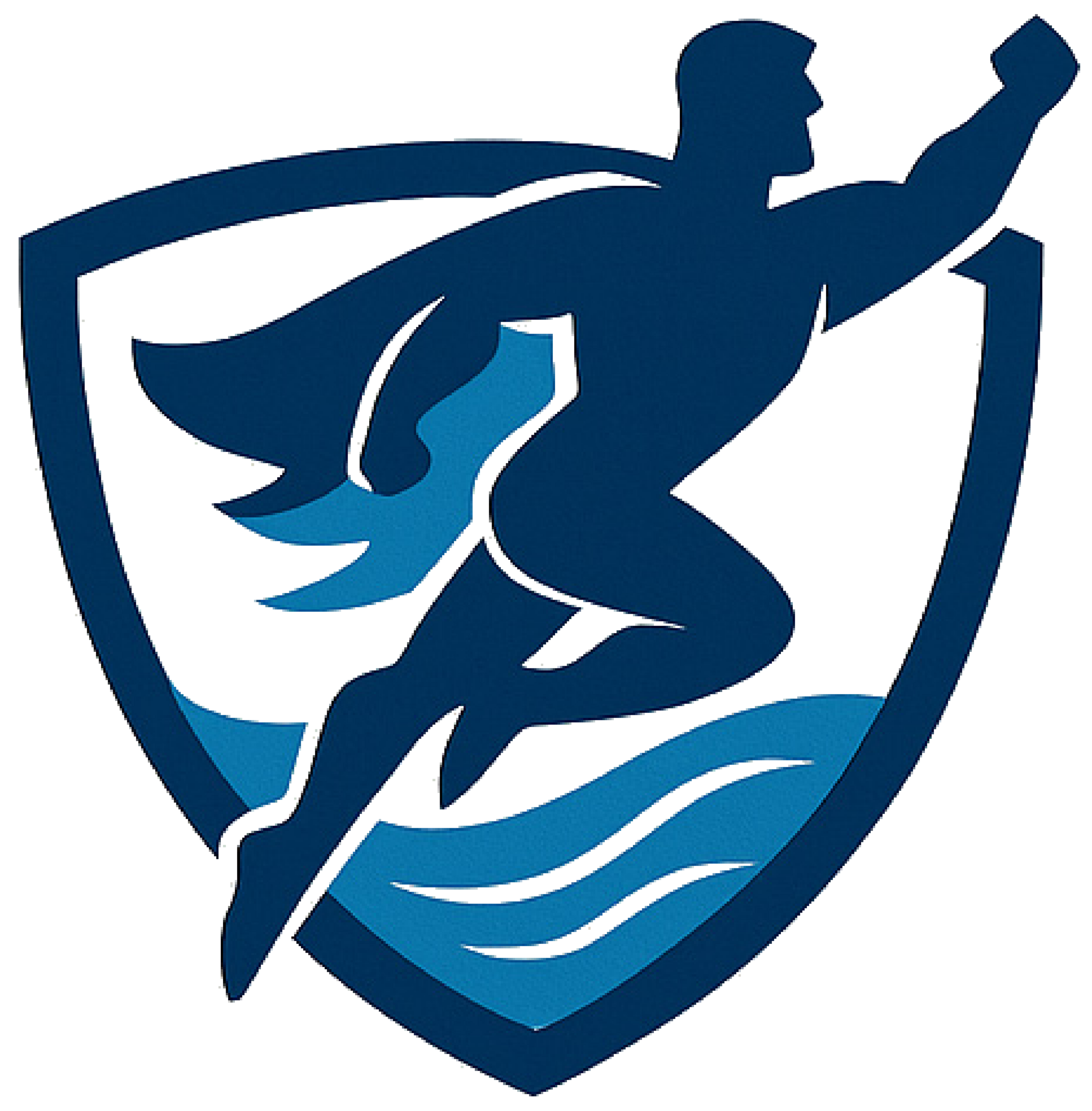 Nevada Pool Company Logo